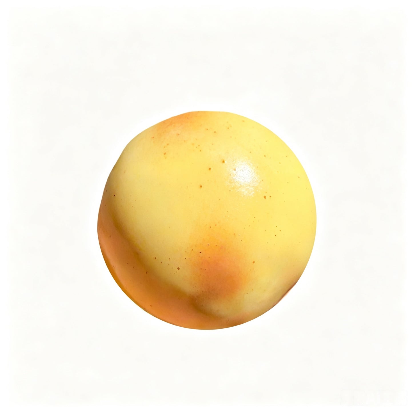 Crunch Roasted Potato Squishy, Loud Crunch ASMR Fidget Squeeze Stress Relief Toy