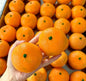 Crunchy Orange Squeeze Fidget Toy, Crispy Crackling Sound TPR Squish Stress Squeeze Ball, Novelty Venting Sensory Toy for Kids Teens Adults