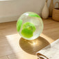 Vaseline Fruit Handmade Ball Squishy, Transparent Jelly Squeeze Fidget Toy, Soft Stress Relief Sensory Toy for Kids & Adults