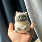 Realistic Fluffy Cat kitty Squishy  Siamese Cat orange cat| Soft Squeeze Stress Relief Fidget Toy