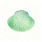 Shell Squishy Toy Maltose Filled Glitter Fidget Toy Soft Squeeze Stress Relief Toy For Kids