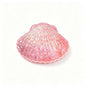 Shell Squishy Toy Maltose Filled Glitter Fidget Toy Soft Squeeze Stress Relief Toy For Kids