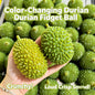 Crunch Durian Squishy Crunchy Sensory Toy Simulation Fruit Stress Relief Fidget Toy Wholesale