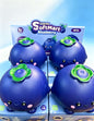 Jumbo Scented Blueberry Squishy Toy, Large TPR Flour Slow‑Rising Squeeze Fidget Toy, Kawaii Fruit Stress Relief Sensory Decompression Toy for Kids Adults, Bulk 4PCS Set Available