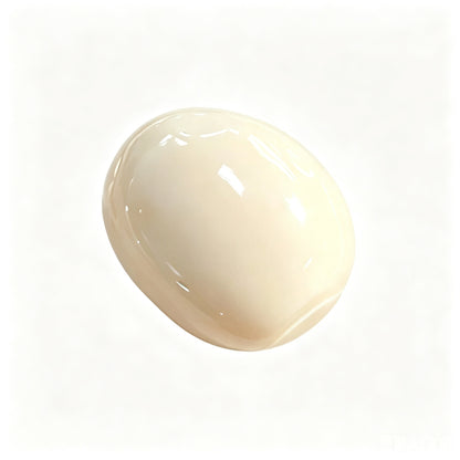 Crunch Egg Beaker Squishy Toy Crackly Sound Flour Filled Stress Relief Squeeze Fidget Toy