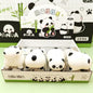 Cute Panda Squishy Fidget Toy, Soft TPR Flour Stress Relief Squeeze Toy, Kawaii Animal Squishy for Kids & Adults